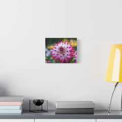 Pink Dahlia Canvas Wall Art — Matte Stretched Floral Print