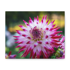 Pink Dahlia Canvas Wall Art — Matte Stretched Floral Print